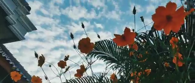 Cinematic Video Untuk Tes Upload Video